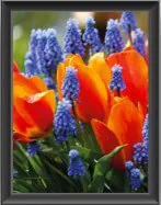 Color Display Index RA